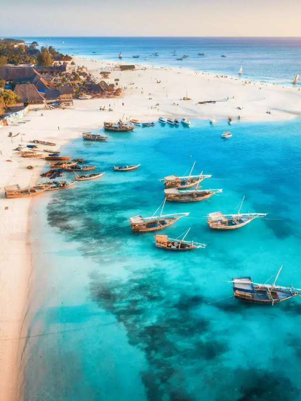 Albadi Zanzibar Tours and Safari