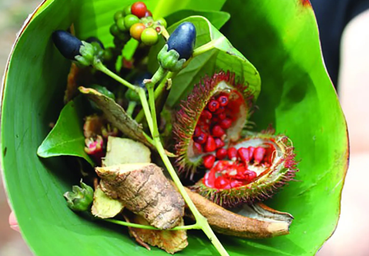 Full day Spice Farm, Prison Island & Stone Town