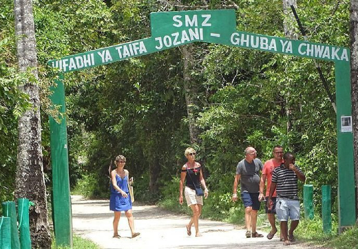 Full day Jozani Forest, Spice Farm & Prison Island
