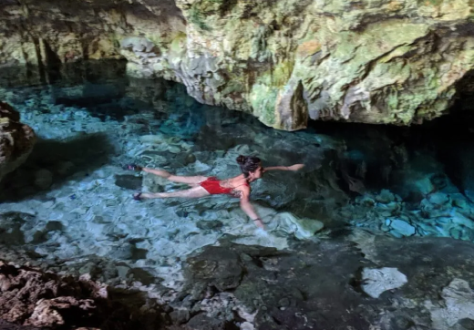 Jozani Forest, Kuza Cave, Blue Lagoon & The Rock Restaurant