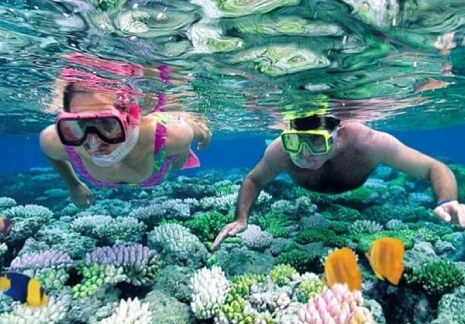 Jozani Forest, Kuza Cave, Blue Lagoon & The Rock Restaurant